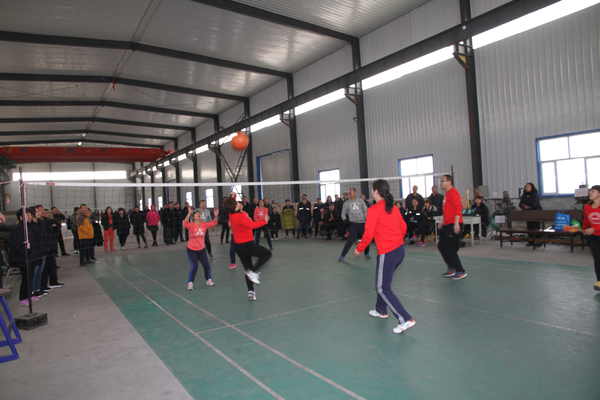 1579423354417537.jpg b6.jpg